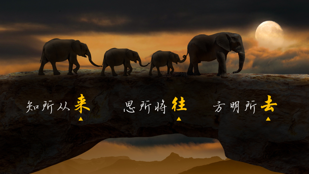 1623215847493283841.png 1623215847493283841.png